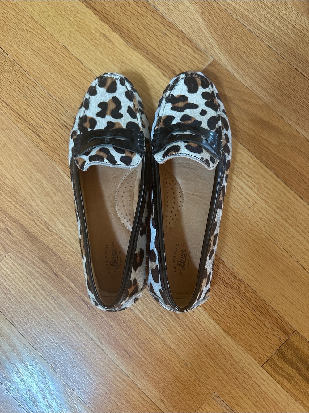 Bass Leopard Print Penny Loafers in White, Brown & Black